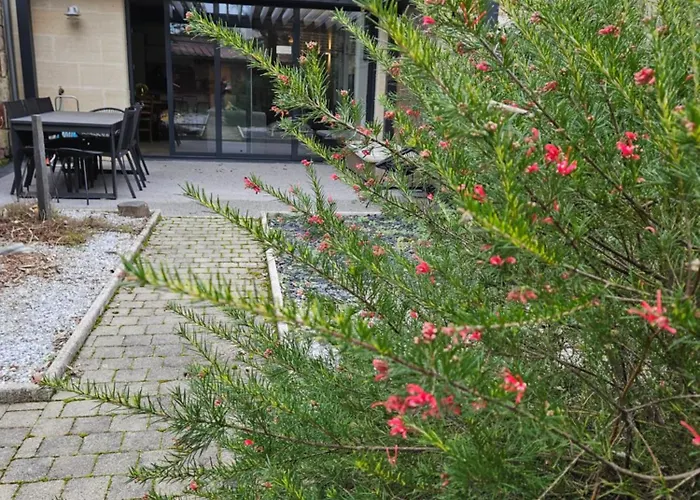 Maison Typique Bordelaise Tatil Evi